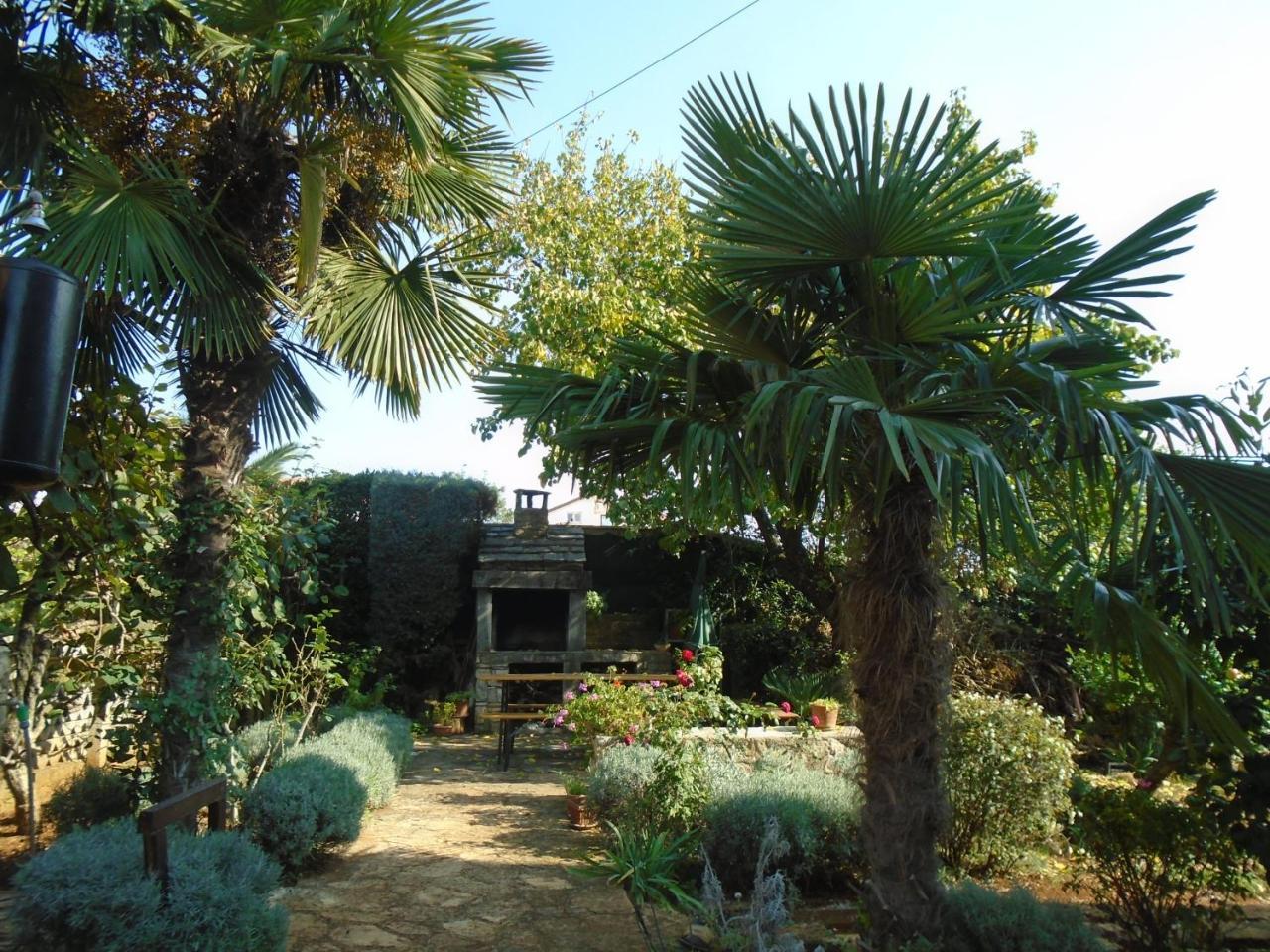 Villa Maria Novigrad Istria Dış mekan fotoğraf