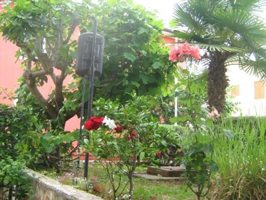 Villa Maria Novigrad Istria Dış mekan fotoğraf