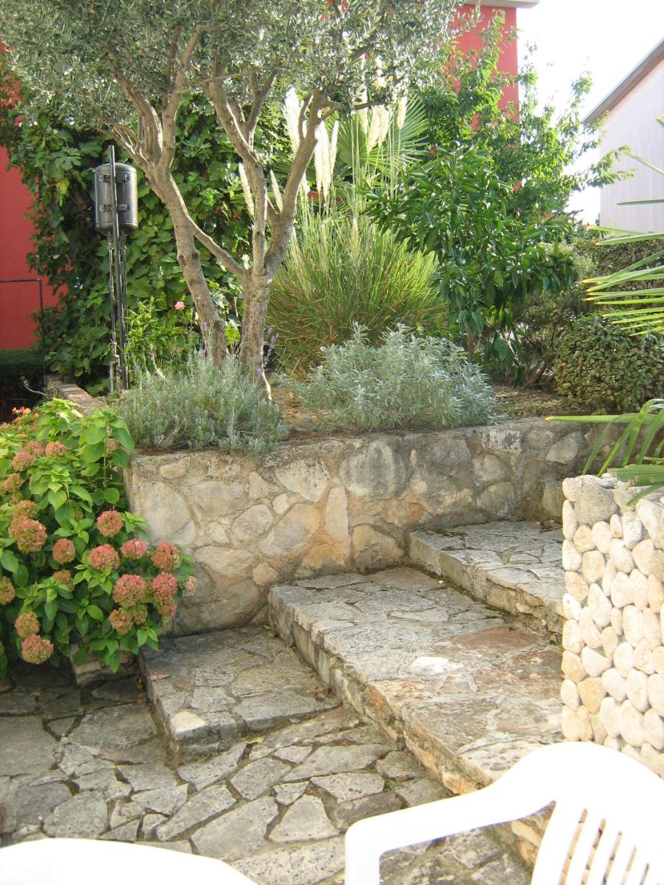 Villa Maria Novigrad Istria Dış mekan fotoğraf